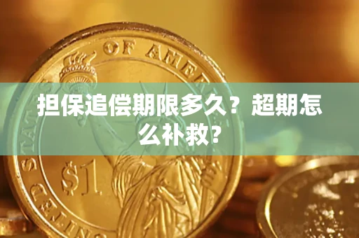 济南担保追偿期限多久？超期怎么补救？
