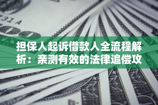 济南担保人起诉借款人全流程解析：亲测有效的法律追偿攻略