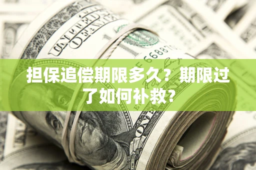 济南担保追偿期限多久？期限过了如何补救？